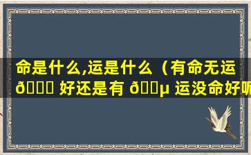 命是什么,运是什么（有命无运 🐋 好还是有 🌵 运没命好呢）